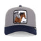 GORRA GRIS CLARO THE BOYZ GOORIN BROS