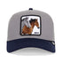GORRA GRIS CLARO THE BOYZ GOORIN BROS