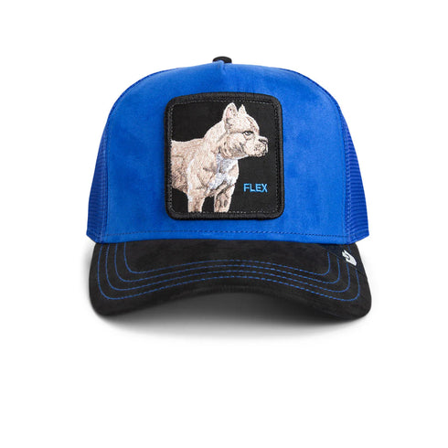 GORRA AZUL SUEDE PITBULL GOORIN BROS