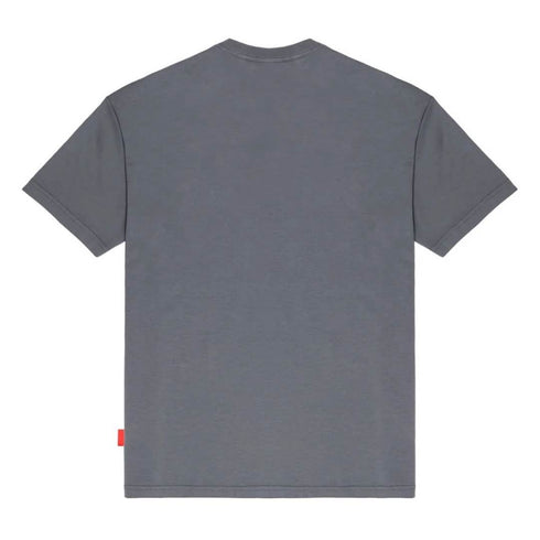 CAMISETA GRIS TELESMA CLEMONT