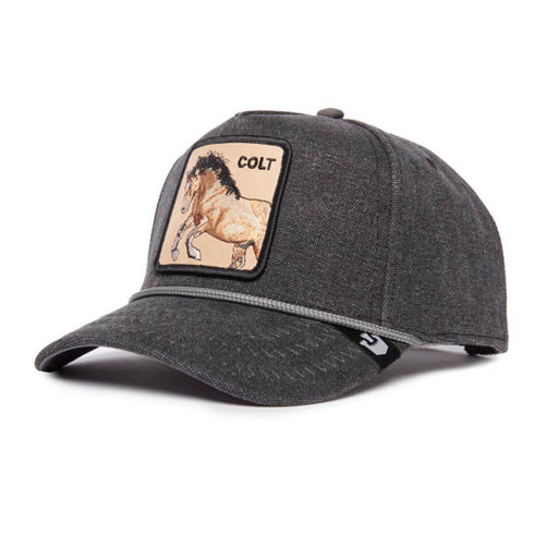 GORRA GRIS BUCKING GOORIN BROS