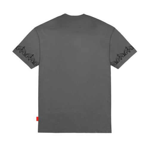 CAMISETA GRIS EDERA CLEMONT