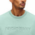 CAMISETA VERDE OLIVA WINDCREST PSYCHO BUNNY