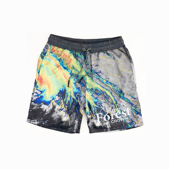 PANTALONETA GRIS ICY AP CROWN